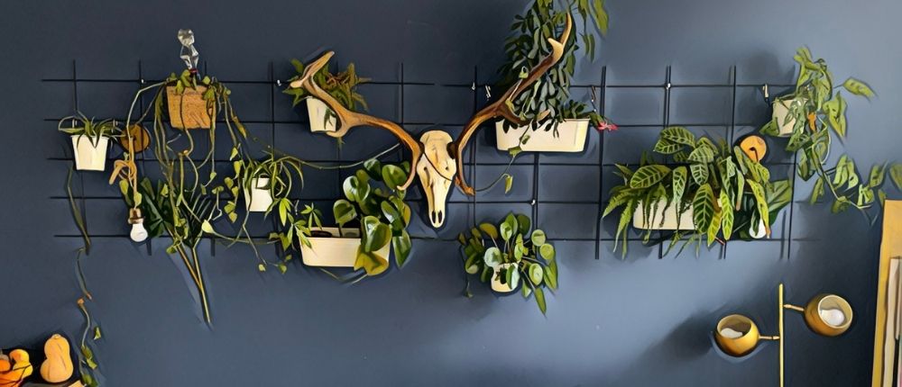 pplp wall